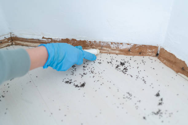 Best Pest Control for Multi-Family Homes  in Allouez, WI